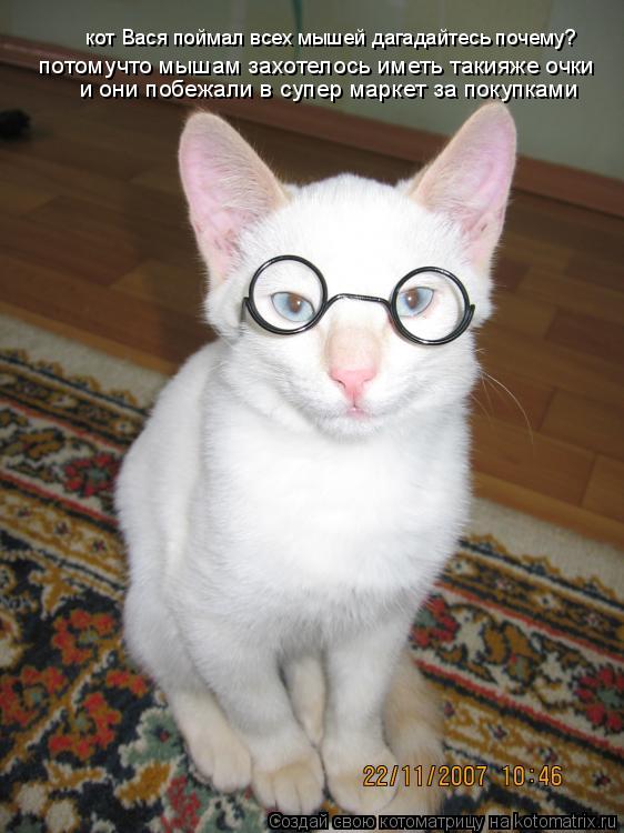 Котоматрица: кот Вася поймал всех мышей дагадайтесь почему? потомучто мышам захотелось иметь такияже очки и они побежали в супер маркет за покупками