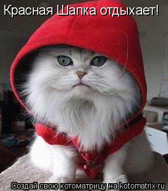 Красная Шапка отдыхает!... Котоматрица: Красная Шапка отдыхает!