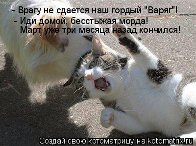 - Врагу не сдается наш гордый "Варяг"! - Иди домой, бесстыжая морда! Март уже три месяца назад кончил... Котоматрица: - Врагу не сдается наш гордый "Варяг"! - Иди домой, бесстыжая морда! Март уже три месяца назад кончился!
