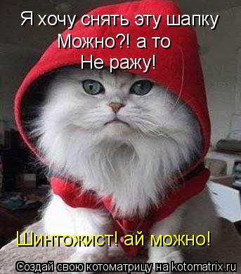 Я хочу снять эту шапку Можно?! а то Не ражу! Шинтожист! ай можно!... Котоматрица: Я хочу снять эту шапку Можно?! а то Не ражу! Шинтожист! ай можно!