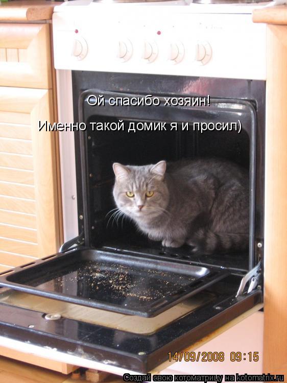 Ой спасибо хозяин! Именно такой домик я и просил)... Котоматрица: Ой спасибо хозяин! Именно такой домик я и просил)