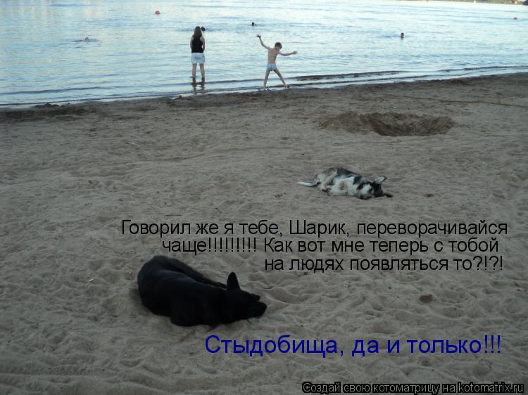 Говорил же я тебе, Шарик, переворачивайся чаще!!!!!!!!! Как вот мне теперь с тобой на людях появлять... Котоматрица: Говорил же я тебе, Шарик, переворачивайся чаще!!!!!!!!! Как вот мне теперь с тобой на людях появляться то?!?! Стыдобища, да и только!!!