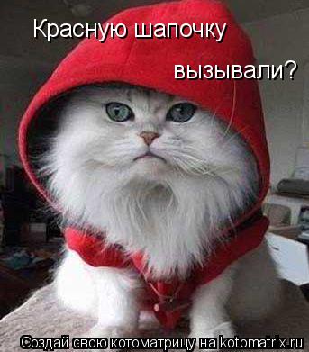 Красную шапочку вызывали?... Котоматрица: Красную шапочку вызывали?