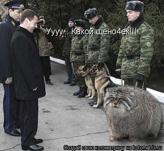 Уууу... Какой щено4ек!!!... Котоматрица: Уууу... Какой щено4ек!!!