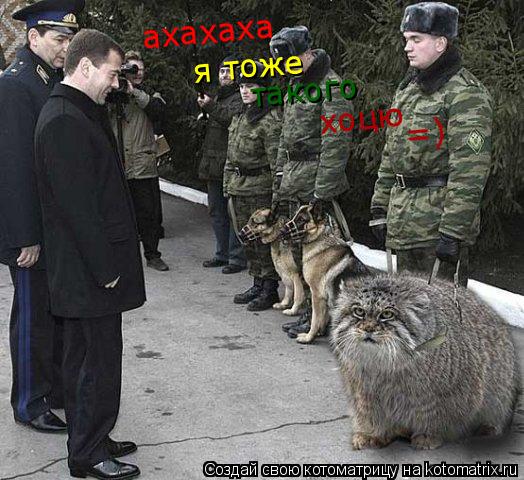 ахахаха я тоже такого хоцю =)... Котоматрица: ахахаха я тоже такого хоцю =)