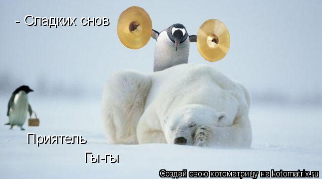 Сладких снов Приятель Гы-гы -... Котоматрица: Сладких снов Приятель Гы-гы -