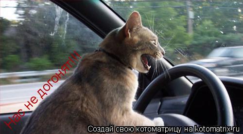 Нас не догонят!!!... Котоматрица: Нас не догонят!!!