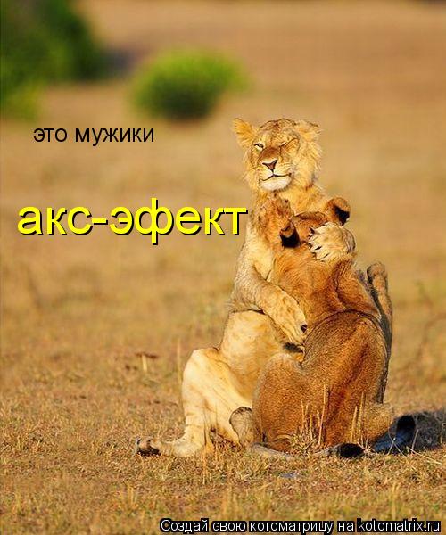 это мужики акс-эфект... Котоматрица: это мужики акс-эфект