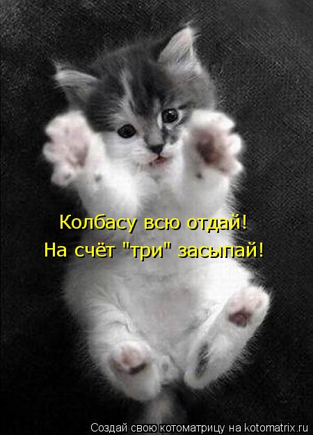 Колбасу всю отдай! На счёт "три" засыпай!... Котоматрица: Колбасу всю отдай! На счёт "три" засыпай!