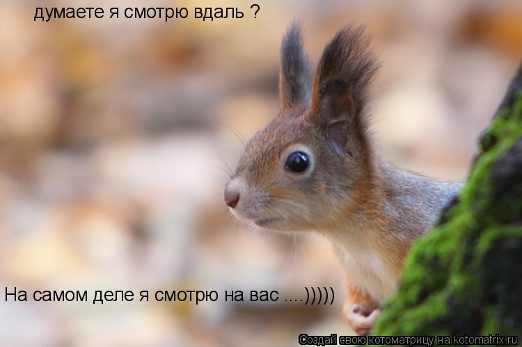 думаете я смотрю вдаль ? На самом деле я смотрю на вас ....)))))... Котоматрица: думаете я смотрю вдаль ? На самом деле я смотрю на вас ....)))))