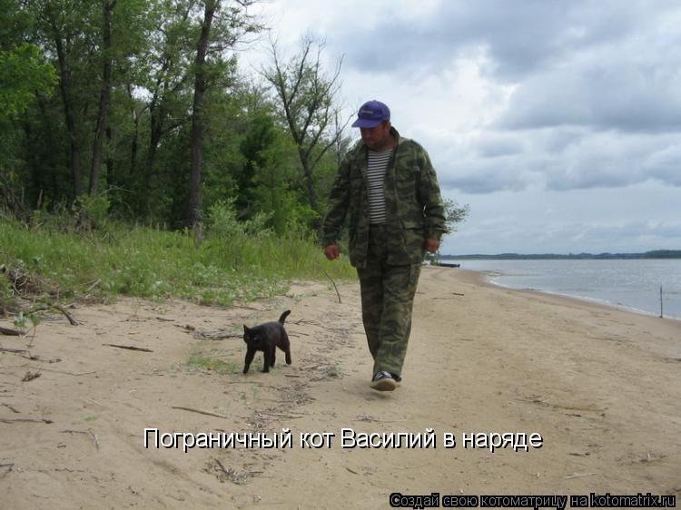 Пограничный кот Василий в наряде... Котоматрица: Пограничный кот Василий в наряде