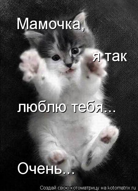 Мамочка, я так люблю тебя... Очень...... Котоматрица: Мамочка, я так люблю тебя... Очень...