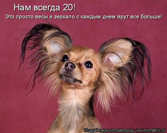 Нам всегда 20! Это просто весы и зеркало с каждым днем врут все больше!... Котоматрица: Нам всегда 20! Это просто весы и зеркало с каждым днем врут все больше!
