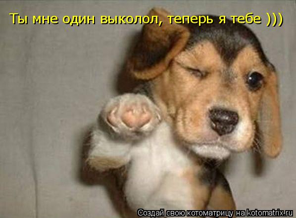 Ты мне один выколол, теперь я тебе )))... Котоматрица: Ты мне один выколол, теперь я тебе )))
