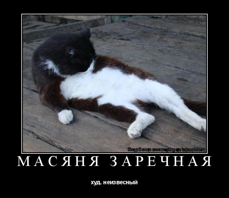 Масяня заречная худ. неизвесный... Котоматрица: Масяня заречная худ. неизвесный
