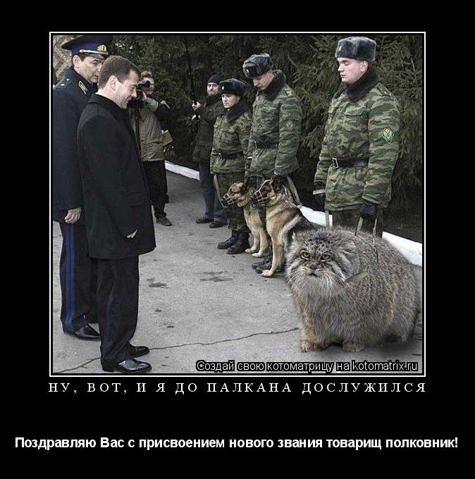 Ну, вот, и я до палкана дослужился Поздравляю Вас с присвоением нового звания товарищ полковник!... Котоматрица: Ну, вот, и я до палкана дослужился Поздравляю Вас с присвоением нового звания товарищ полковник!