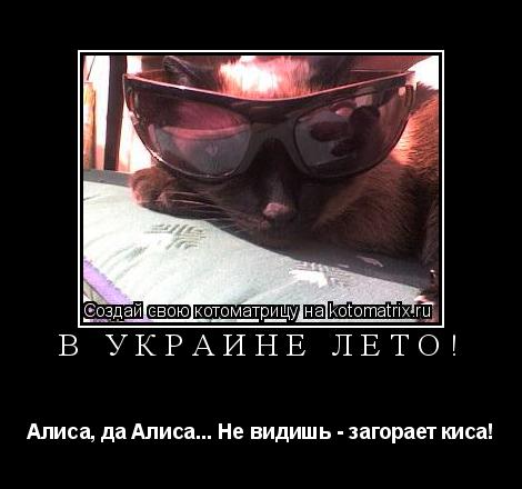 В Украине лето! Алиса, да Алиса... Не видишь - загорает киса!... Котоматрица: В Украине лето! Алиса, да Алиса... Не видишь - загорает киса!