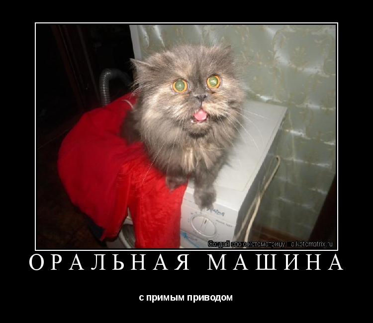 оральная машина с примым приводом... Котоматрица: оральная машина с примым приводом