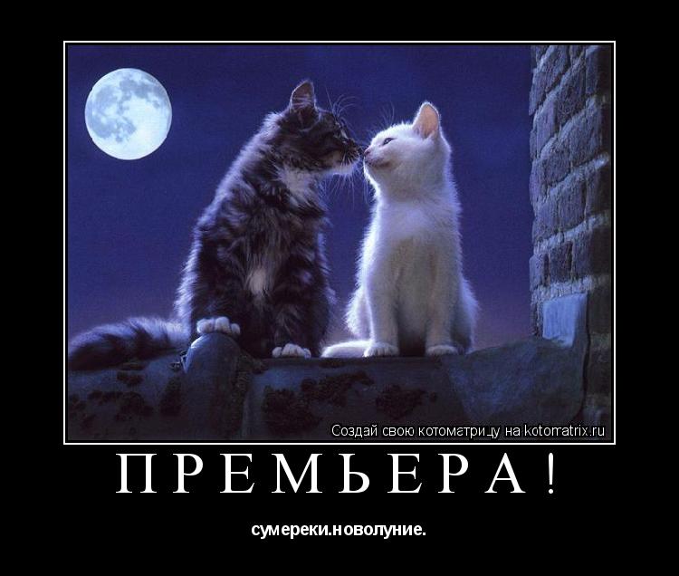 премьера! сумереки.новолуние.... Котоматрица: премьера! сумереки.новолуние.