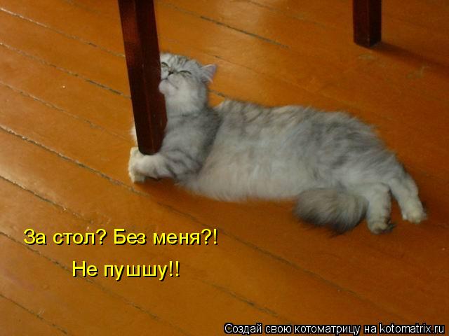 Котоматрица: За стол? Без меня?!  Не пушшу!!