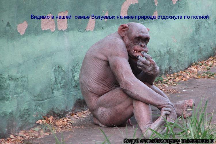 Видимо в нашей семье Волуевых на мне природа отдохнула по полной... Котоматрица: Видимо в нашей семье Волуевых на мне природа отдохнула по полной