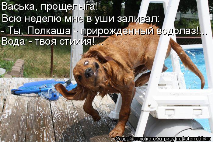 Васька, прощелыга! Всю неделю мне в уши заливал: - Ты, Полкаша - прирожденный водолаз!... Вода - твоя... Котоматрица: Васька, прощелыга! Всю неделю мне в уши заливал: - Ты, Полкаша - прирожденный водолаз!... Вода - твоя стихия!...