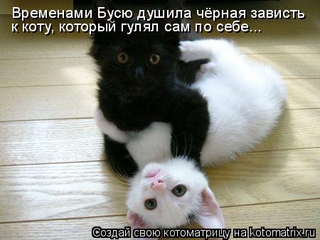 Временами Бусю душила чёрная зависть к коту, который гулял сам по себе...... Котоматрица: Временами Бусю душила чёрная зависть к коту, который гулял сам по себе...
