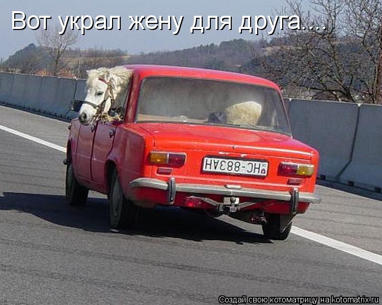 Вот украл жену для друга....... Котоматрица: Вот украл жену для друга....