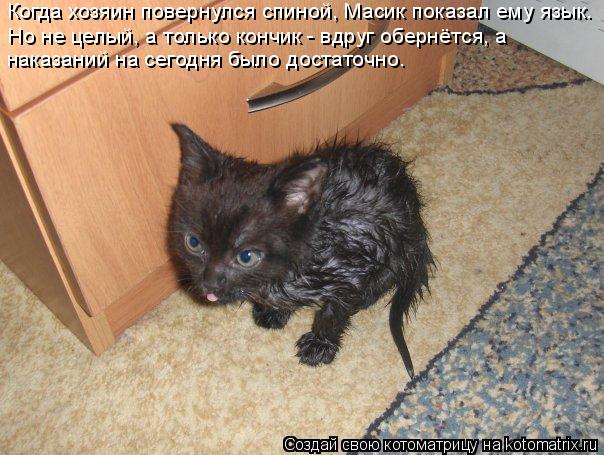 Когда хозяин повернулся спиной, Масик показал ему язык. Но не целый, а только кончик - вдруг обернётс... Котоматрица: Когда хозяин повернулся спиной, Масик показал ему язык. Но не целый, а только кончик - вдруг обернётся, а наказаний на сегодня было достаточ