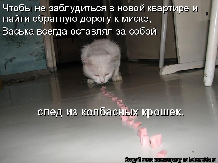 Чтобы не заблудиться в новой квартире и найти обратную дорогу к миске, Васька всегда оставлял за со... Котоматрица: Чтобы не заблудиться в новой квартире и найти обратную дорогу к миске, Васька всегда оставлял за собой след из колбасных крошек.