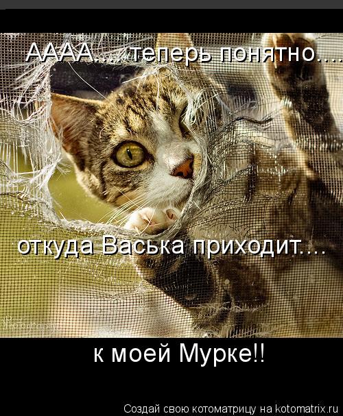 АААА.... теперь понятно.... откуда Васька приходит.... к моей Мурке!!... Котоматрица: АААА.... теперь понятно.... откуда Васька приходит.... к моей Мурке!!