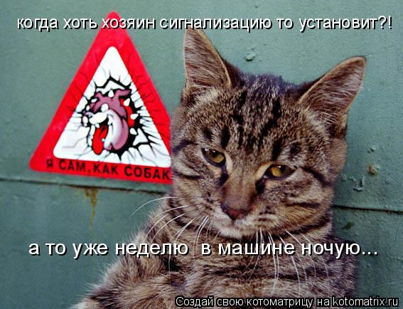 когда хоть хозяин сигнализацию то установит?! а то уже неделю в машине ночую...... Котоматрица: когда хоть хозяин сигнализацию то установит?! а то уже неделю в машине ночую...
