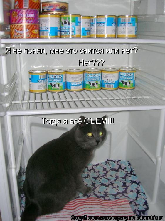 Я не понял, мне это снится или нет? Нет??? Тогда я всё СЪЕМ!!!... Котоматрица: Я не понял, мне это снится или нет? Нет??? Тогда я всё СЪЕМ!!!