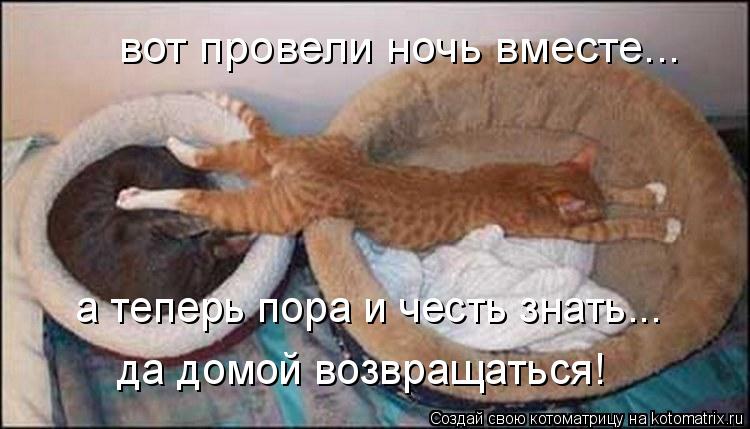 вот провели ночь вместе... а теперь пора и честь знать... да домой возвращаться!... Котоматрица: вот провели ночь вместе... а теперь пора и честь знать... да домой возвращаться!