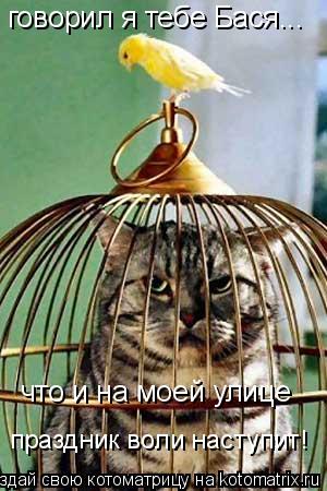 говорил я тебе Бася... что и на моей улице праздник воли наступит!... Котоматрица: говорил я тебе Бася... что и на моей улице праздник воли наступит!