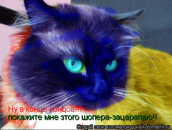 Ну в конце-концов!!! покажите мне зтого шопера-зацарапаю!!... Котоматрица: Ну в конце-концов!!! покажите мне зтого шопера-зацарапаю!!