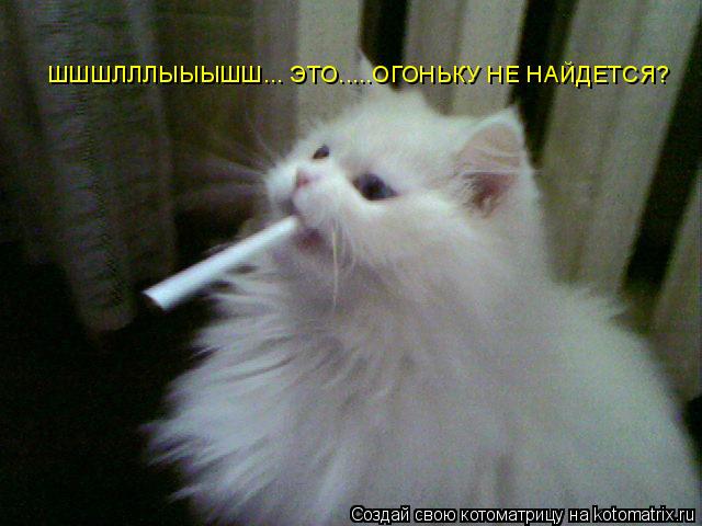 ШШШЛЛЛЫЫЫШШ... ЭТО.....ОГОНЬКУ НЕ НАЙДЕТСЯ?... Котоматрица: ШШШЛЛЛЫЫЫШШ... ЭТО.....ОГОНЬКУ НЕ НАЙДЕТСЯ?