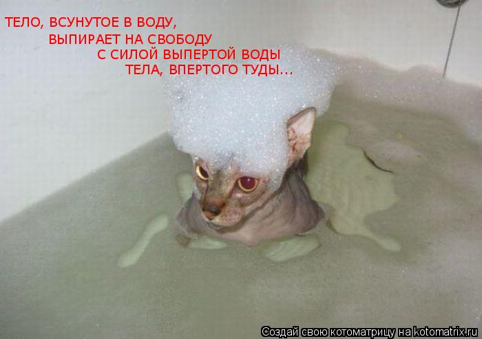 ТЕЛО, ВСУНУТОЕ В ВОДУ, ВЫПИРАЕТ НА СВОБОДУ С СИЛОЙ ВЫПЕРТОЙ ВОДЫ ТЕЛА, ВПЕРТОГО ТУДЫ...... Котоматрица: ТЕЛО, ВСУНУТОЕ В ВОДУ, ВЫПИРАЕТ НА СВОБОДУ С СИЛОЙ ВЫПЕРТОЙ ВОДЫ ТЕЛА, ВПЕРТОГО ТУДЫ...