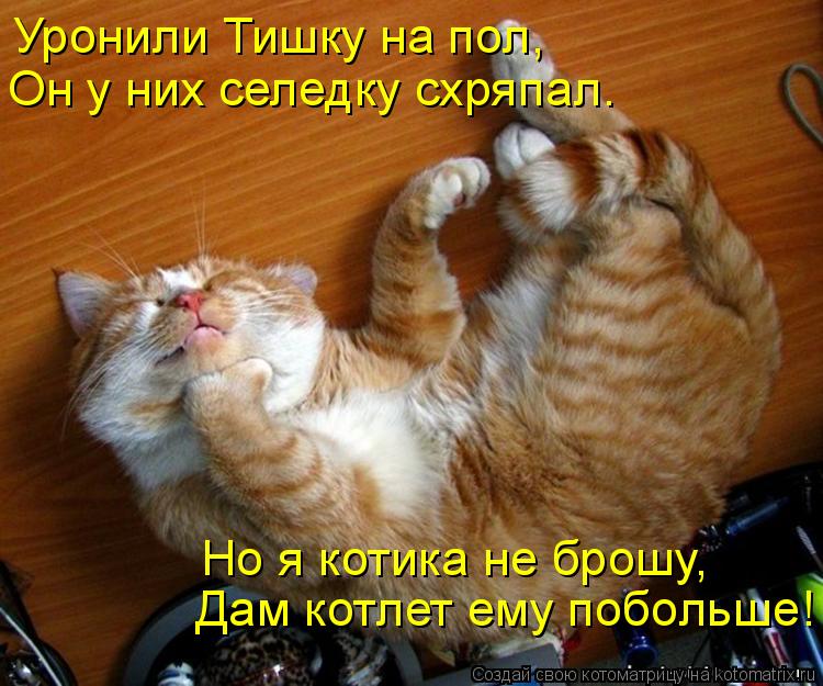 Уронили Тишку на пол, Он у них селедку схряпал. Но я котика не брошу, Дам котлет ему побольше!... Котоматрица: Уронили Тишку на пол, Он у них селедку схряпал. Но я котика не брошу, Дам котлет ему побольше!