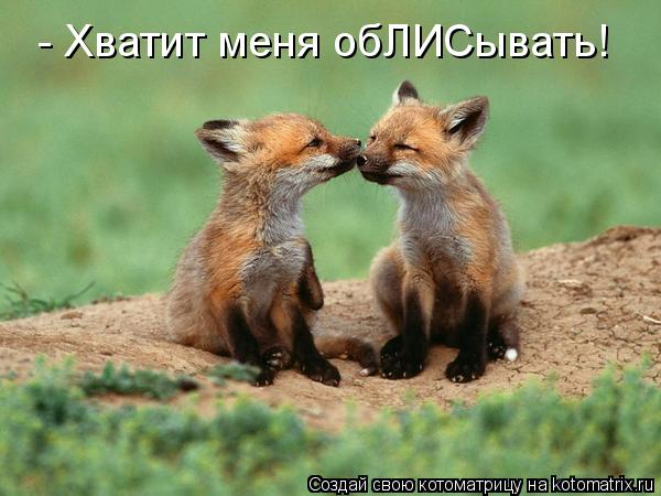 - Хватит меня обЛИСывать!... Котоматрица: - Хватит меня обЛИСывать!