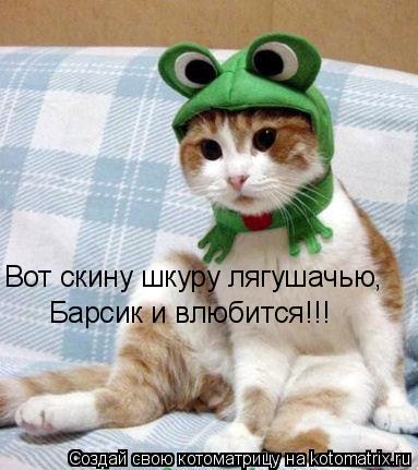 Вот скину шкуру лягушачью, Барсик и влюбится!!!... Котоматрица: Вот скину шкуру лягушачью, Барсик и влюбится!!!