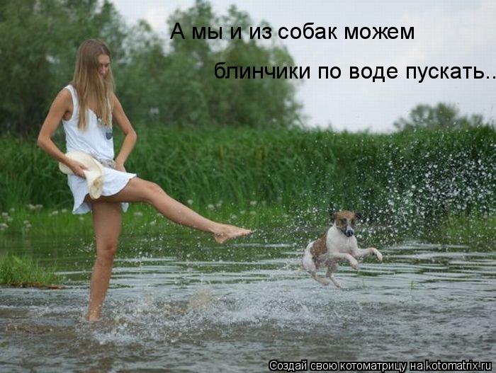 Котоматрица: А мы и из собак можем блинчики по воде пускать..