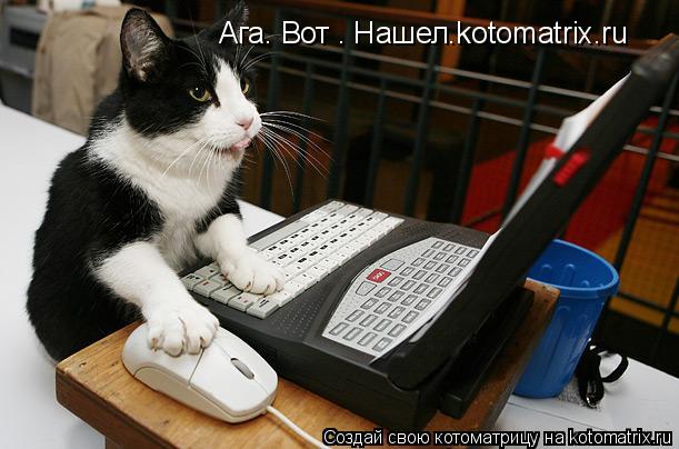 Ага. Вот . Нашел.kotomatrix.ru... Котоматрица: Ага. Вот . Нашел.kotomatrix.ru