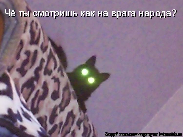 Чё ты смотришь как на врага народа?... Котоматрица: Чё ты смотришь как на врага народа?