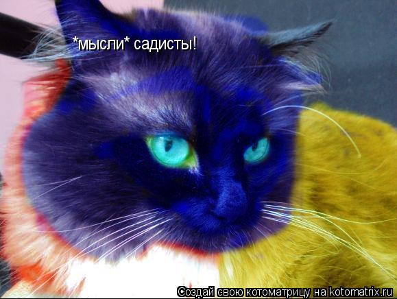 *мысли* садисты!... Котоматрица: *мысли* садисты!