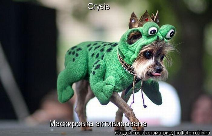 Crysis Маскировка активирована... Котоматрица: Crysis Маскировка активирована