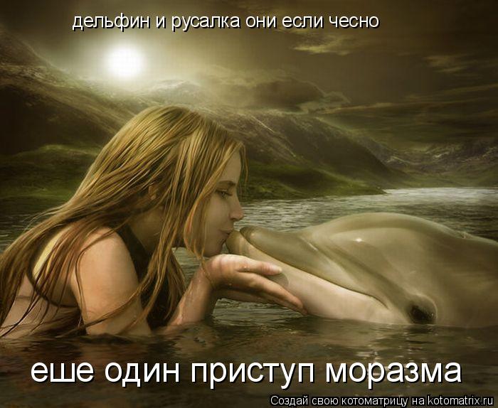 дельфин и русалка они если чесно еше один приступ моразма... Котоматрица: дельфин и русалка они если чесно еше один приступ моразма