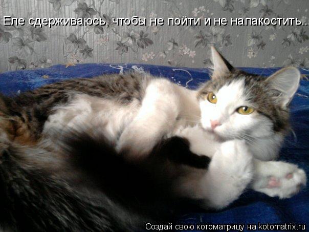 Еле сдерживаюсь, чтобы не пойти и не напакостить....... Котоматрица: Еле сдерживаюсь, чтобы не пойти и не напакостить....