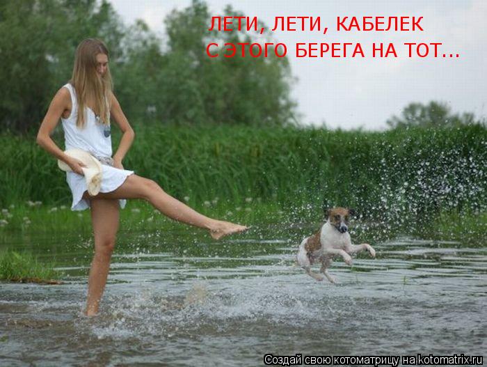 ЛЕТИ, ЛЕТИ, КАБЕЛЕК С ЭТОГО БЕРЕГА НА ТОТ...... Котоматрица: ЛЕТИ, ЛЕТИ, КАБЕЛЕК С ЭТОГО БЕРЕГА НА ТОТ...