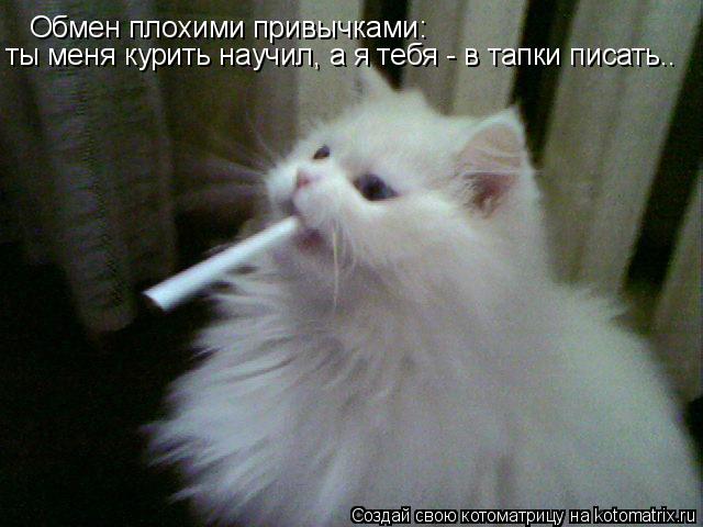 Обмен плохими привычками: ты меня курить научил, а я тебя - в тапки писать..... Котоматрица: Обмен плохими привычками: ты меня курить научил, а я тебя - в тапки писать..